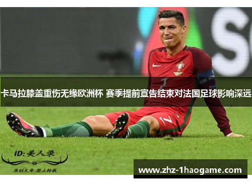 卡马拉膝盖重伤无缘欧洲杯 赛季提前宣告结束对法国足球影响深远